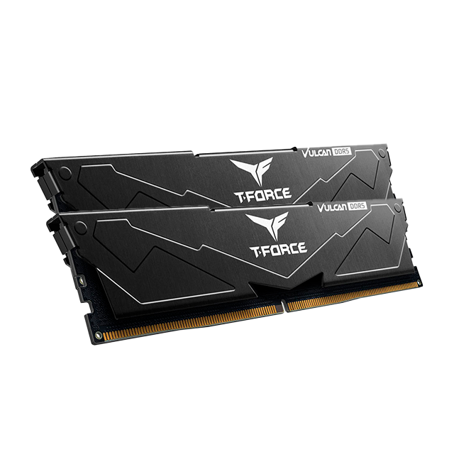 Memoria RAM DDR5 TeamGroup T-Force Vulcan, 16 GB (2×8 GB), 5600 MHz, Negro – FLBD516G5600HC40BDC01