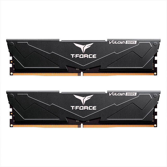 Memoria RAM DDR5 TeamGroup T-Force Vulcan, 16 GB (2×8 GB), 5600 MHz, Negro – FLBD516G5600HC40BDC01